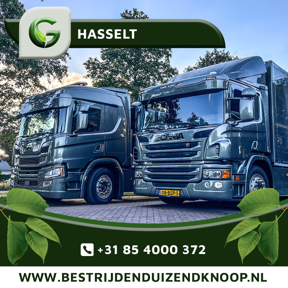 Japanse Duizendknoop Bestrijden Hasselt